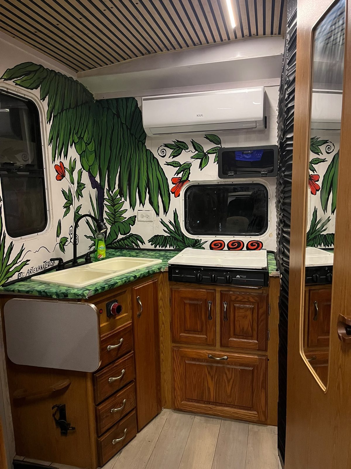 Cocina con fregadero, estufa y aire acondicionado rodeada de murales tropicales